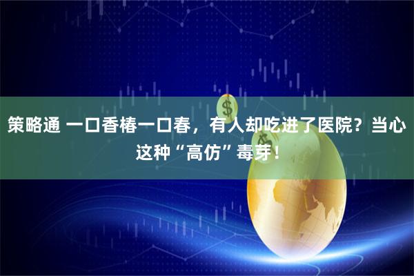 策略通 一口香椿一口春，有人却吃进了医院？当心这种“高仿”毒芽！