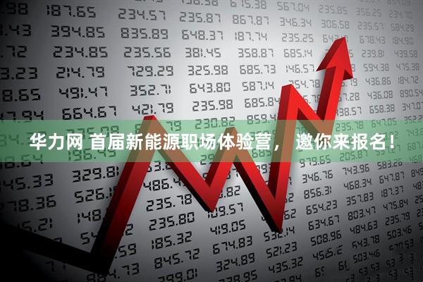 华力网 首届新能源职场体验营, 邀你来报名!
