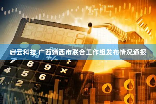 启云科技 广西靖西市联合工作组发布情况通报