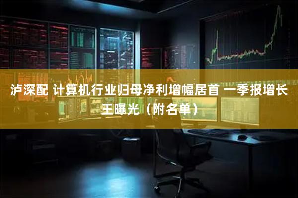 泸深配 计算机行业归母净利增幅居首 一季报增长王曝光（附名单）