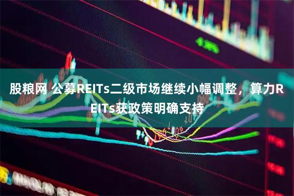 股粮网 公募REITs二级市场继续小幅调整，算力REITs获政策明确支持