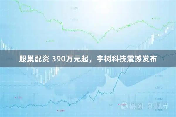股巢配资 390万元起，宇树科技震撼发布