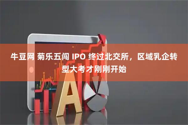 牛豆网 菊乐五闯 IPO 终过北交所，区域乳企转型大考才刚刚开始