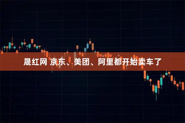 晟红网 京东、美团、阿里都开始卖车了