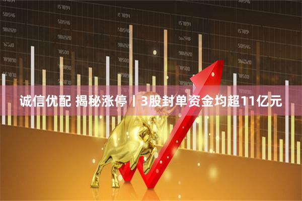 诚信优配 揭秘涨停丨3股封单资金均超11亿元