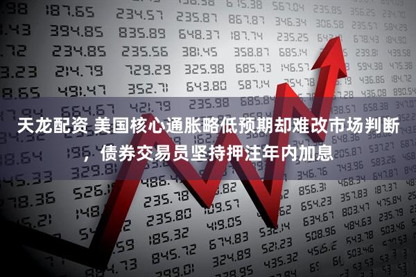 天龙配资 美国核心通胀略低预期却难改市场判断，债券交易员坚持押注年内加息