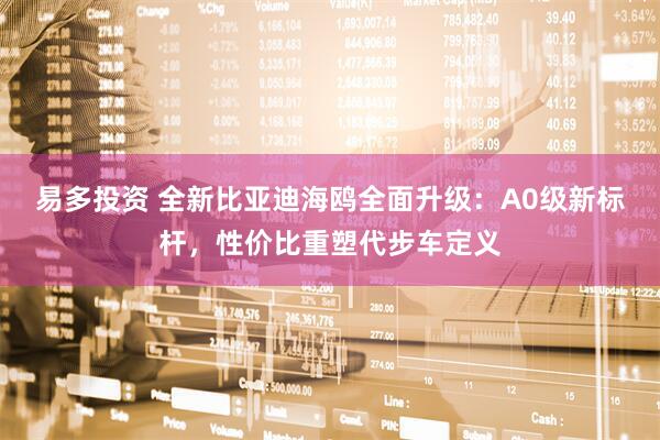易多投资 全新比亚迪海鸥全面升级：A0级新标杆，性价比重塑代步车定义